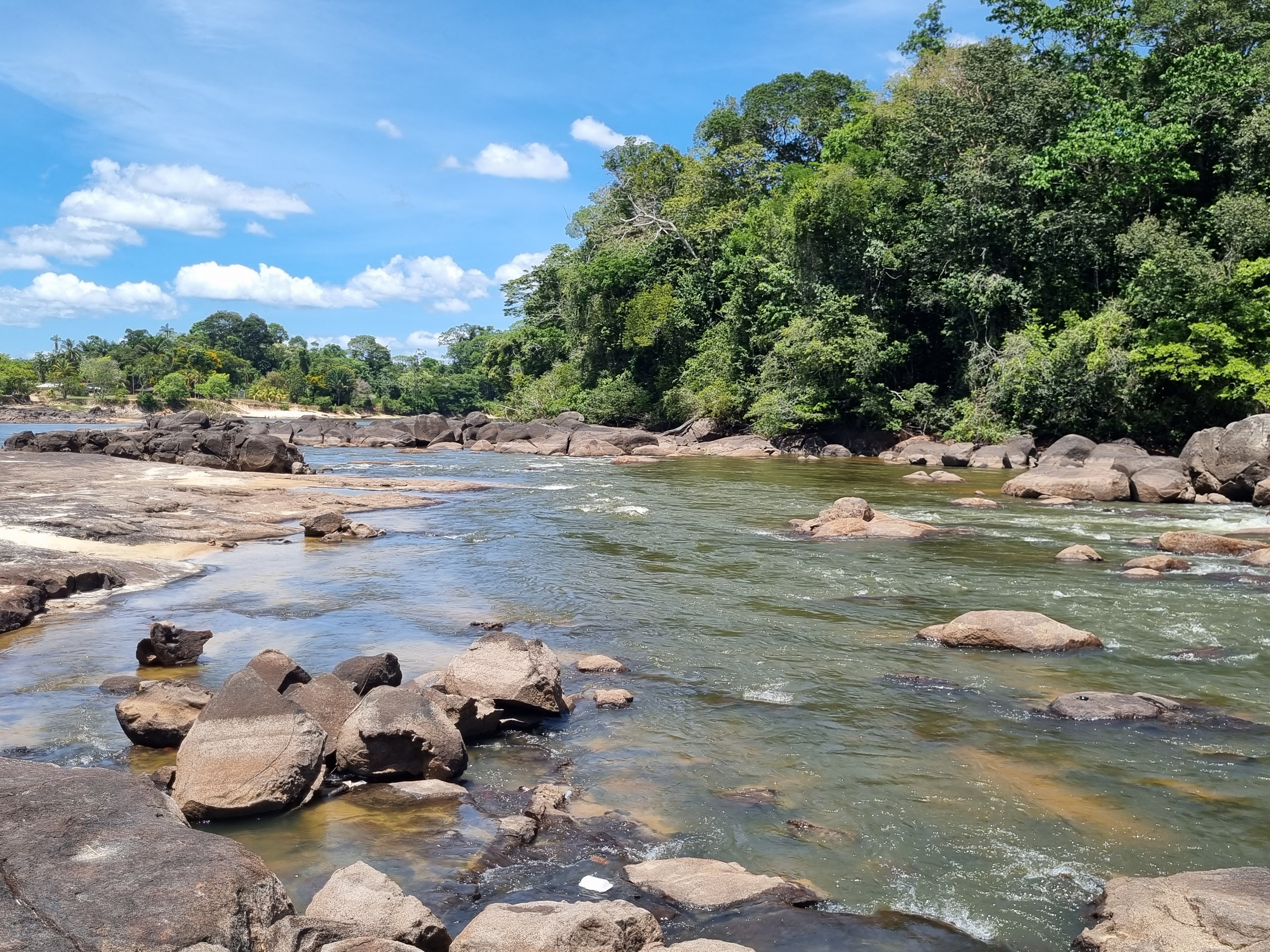 The rights of ITPs in Climate Change Mitigation in Suriname, Guyana, Ecuador and Brazil